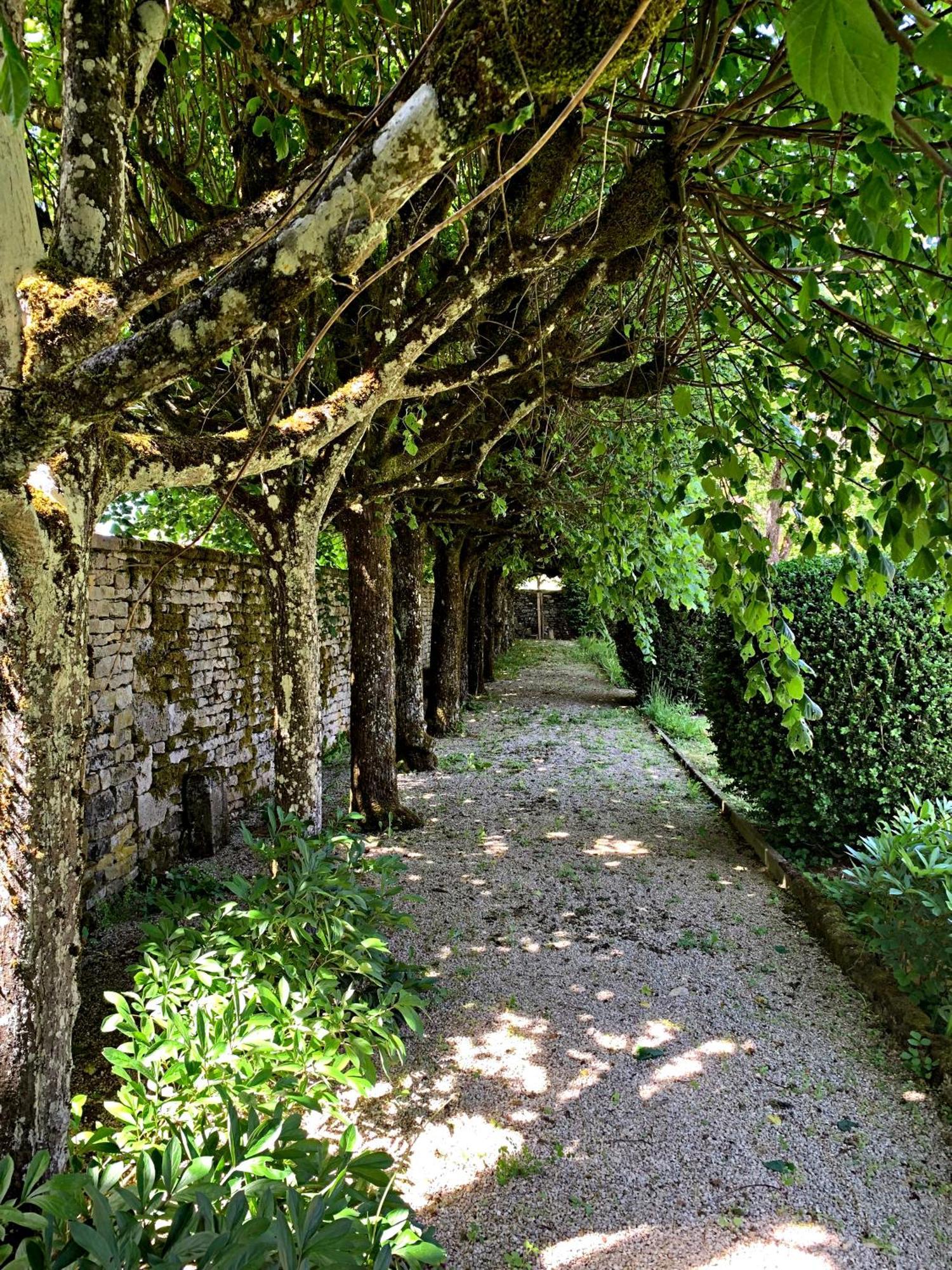Le Clos Du Marronnier Rivieres-les-Fosses Экстерьер фото